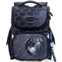 Школьный рюкзак SkyName 2066