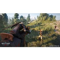 Компьютерная игра PC Ведьмак 3: Дикая Охота
