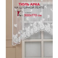 Тюль Amore Mio Арка H 3091 3x1.7 м 73759 (белый)