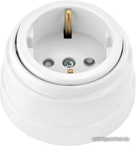 Розетка Bylectrica РА16-0206 (белый)