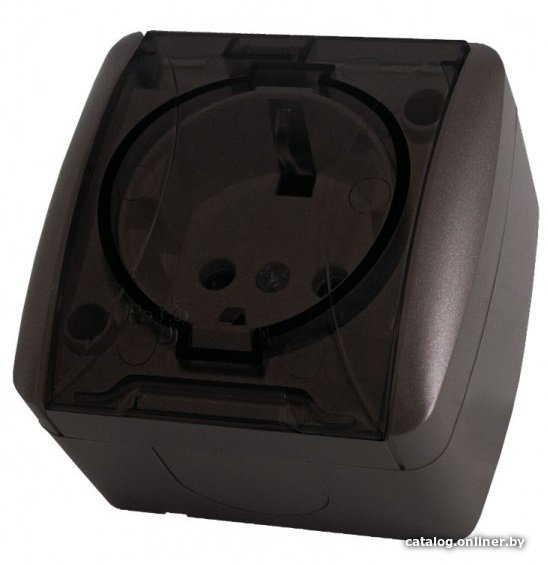Розетка TDM Electric Селигер SQ1818-0207