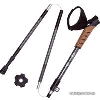 Треккинговые палки RGX TFG-04C