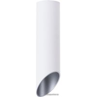 Светильник Arte Lamp Pilon-Silver A1535PL-1WH