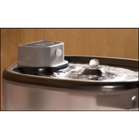 Фонтанчик Rombica myPet Ray