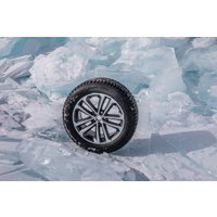 Зимние шины Ikon Tyres Autograph Ice 9 SUV 245/50R20 105T XL (шипы)