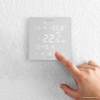 Терморегулятор Auraton Pictor DS