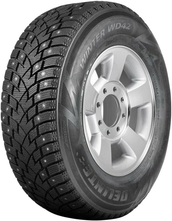 

Зимние шины Delinte Winter WD42 225/55R19 103T