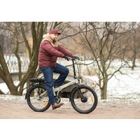 Электровелосипед Shulz E-Easy Fat (светло-серый)