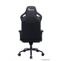Игровое (геймерское) кресло Evolution Legend (черный)