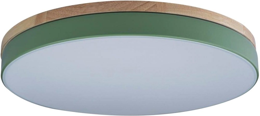 

Светильник-тарелка LOFT IT Axel 10001/36 Green