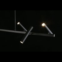 Подвесная люстра Aployt APL.067.03.30