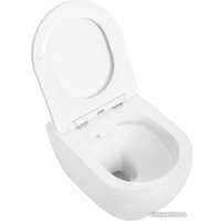 Унитаз подвесной Cezares Stylus CZR-513-TH-R+CZR-2316-SC