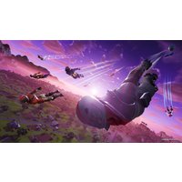  Fortnite. Deep Freeze Bundle для Nintendo Switch