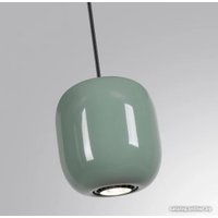 Подвесная люстра Odeon Light Ovali 5053/1C