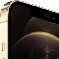 Телефон Apple iPhone 12 Pro Max 512GB (золотой)