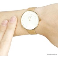Наручные часы Skagen SKW2137 в Пинске