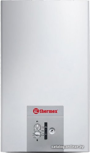 Отопительный котел Thermex EuroStyle F24