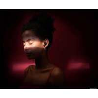 Наушники Padmate PaMu Quiet Mini T10M (черный)