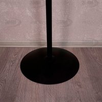 Вешалка для одежды ЗМИ Дерево ВНП 211 (черный)