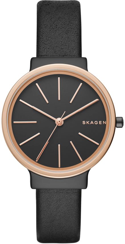 

Наручные часы Skagen SKW2480