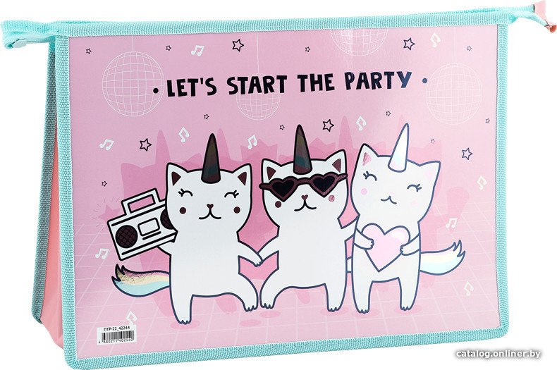 Папка для тетрадей ArtSpace Party ПТР-22_42244