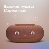 Умная колонка VK Капсула Мини (терракотовый)