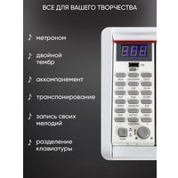 Цифровое пианино Aiwa ASZ-88W