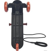 Двухколесный детский самокат Shulz ANT (черный)