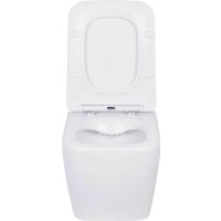 Унитаз подвесной Asten Readle Zentralmodul AR0601-135W