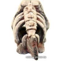 Декорация DekSi Скелет рыбы №901