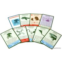 Настольная игра Правильные игры Эволюция. Подарочное издание