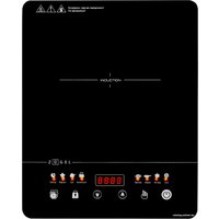 Настольная плита ZUGEL ZIHF60B