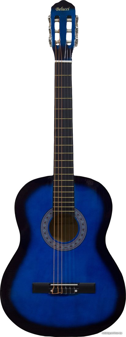 Акустическая гитара Belucci BC3905 BLS