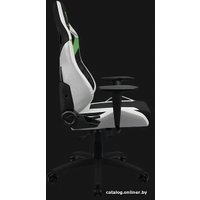 Игровое (геймерское) кресло ThunderX3 XC3 (черный/зеленый/белый)