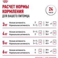 Консервированный корм для кошек Royal Canin Indoor Sterilised 7+ in Jelly кусочки в желе 12x85 г