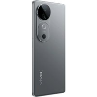 Телефон Vivo V40 12GB/256GB международная версия (титановый серебристый)