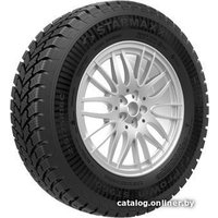 Зимние шины Starmaxx Prowin ST960 195/65R16C 104/102T