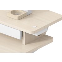 Стол CACTUS CS-EDL-DWT