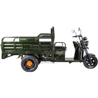 Грузовой электроскутер Rutrike D4 1800 60V 1200W (зеленый)