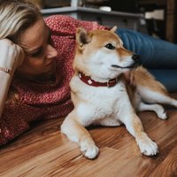 Ошейник Hunter Collar Swiss 41867 (55/M, красный/черный)