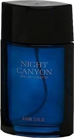 

Туалетная вода Real Time Night Canyon Men EdT (100 мл)