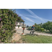 Кусторез Husqvarna 115iHD45 [967 09 83-01]