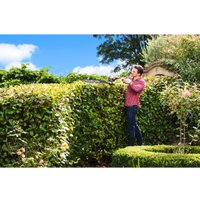 Кусторез Ryobi RHT1850H25HS 5133003660 (с 1-им АКБ)