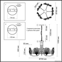 Подвесная люстра Odeon Light Ventaglio 4870/5