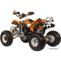 Квадроцикл IRBIS ATV 250S