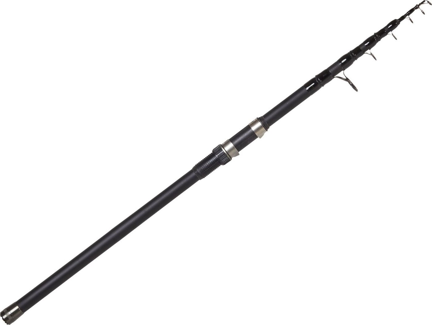 Удилище Salmo Blaster Tele Carp 2.75lb/3.30