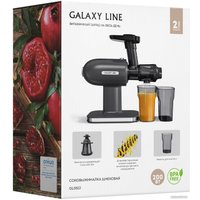 Соковыжималка Galaxy Line GL0813