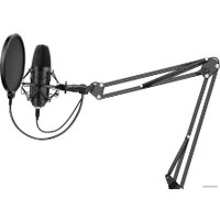 Микрофон SunWind SW-SM400G