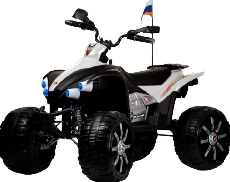 

Электроквадроцикл RiverToys P444PP (белый)