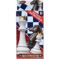 Шахматы Играем вместе 1704K623-R